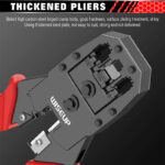 سوکت زن وایزاپ